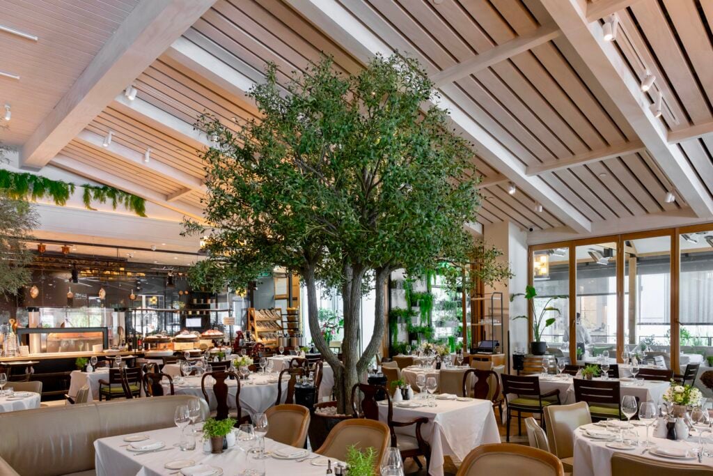 Main dining room with an olive tree under the vaulted wooden ceiling