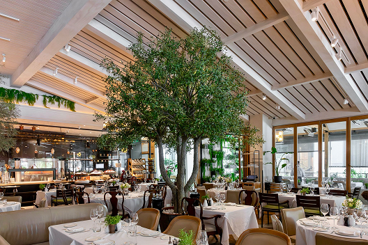 Main dining room with an olive tree under the vaulted wooden ceiling