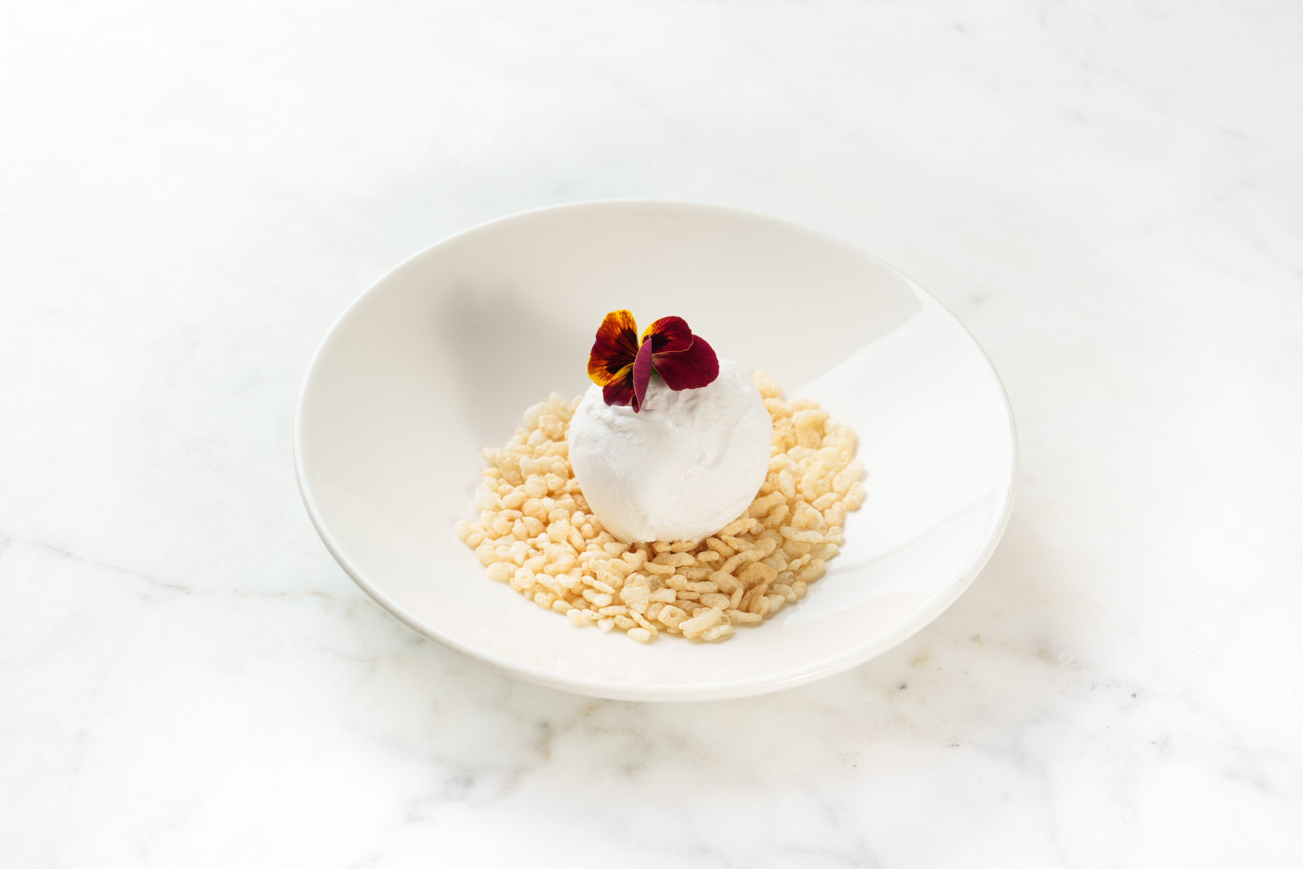 Coconut Sorbet