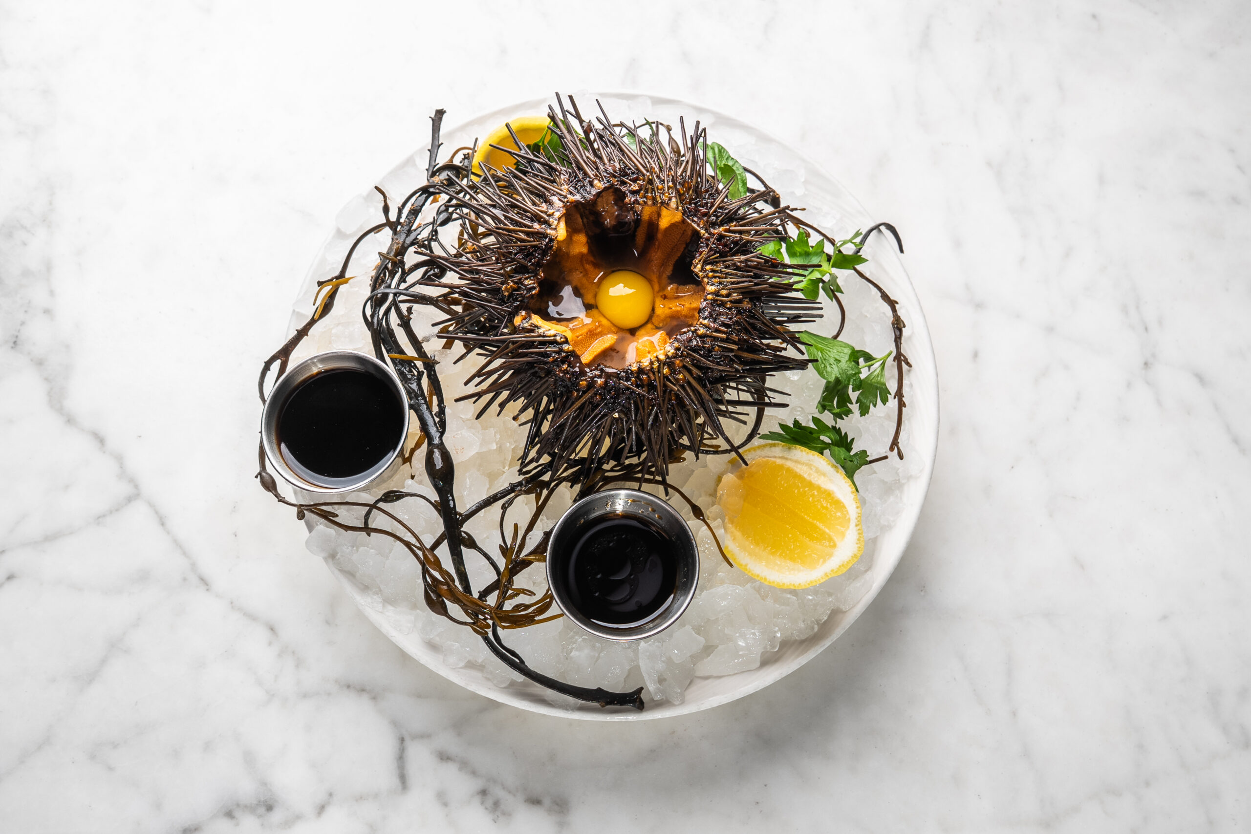 Seaurchin Fresh